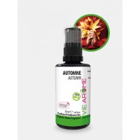 PARFUM AMBIANCE AUTOMNE *** BIO